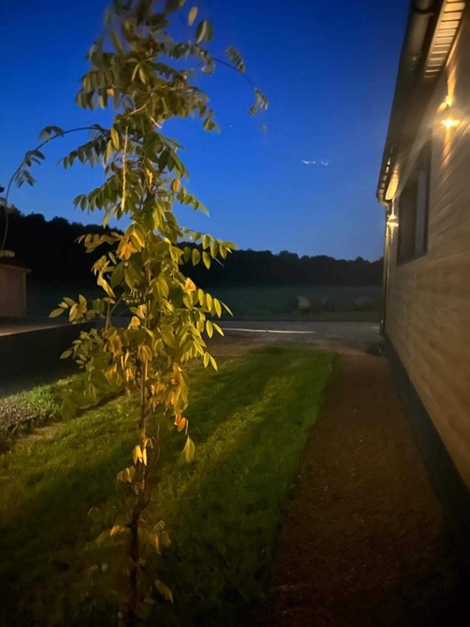 Apartmán Lesny Park Polanica Szczytna Exteriér fotografie