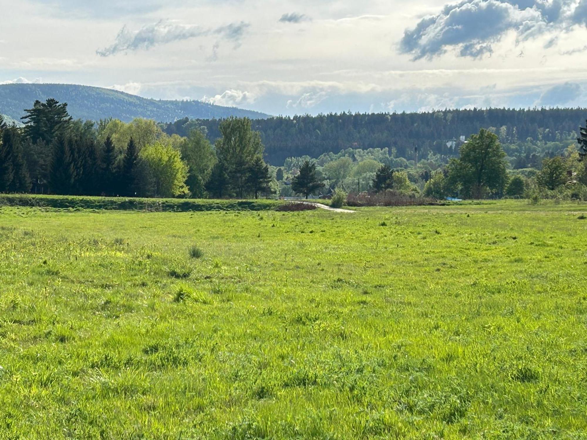 Apartmán Lesny Park Polanica Szczytna Exteriér fotografie