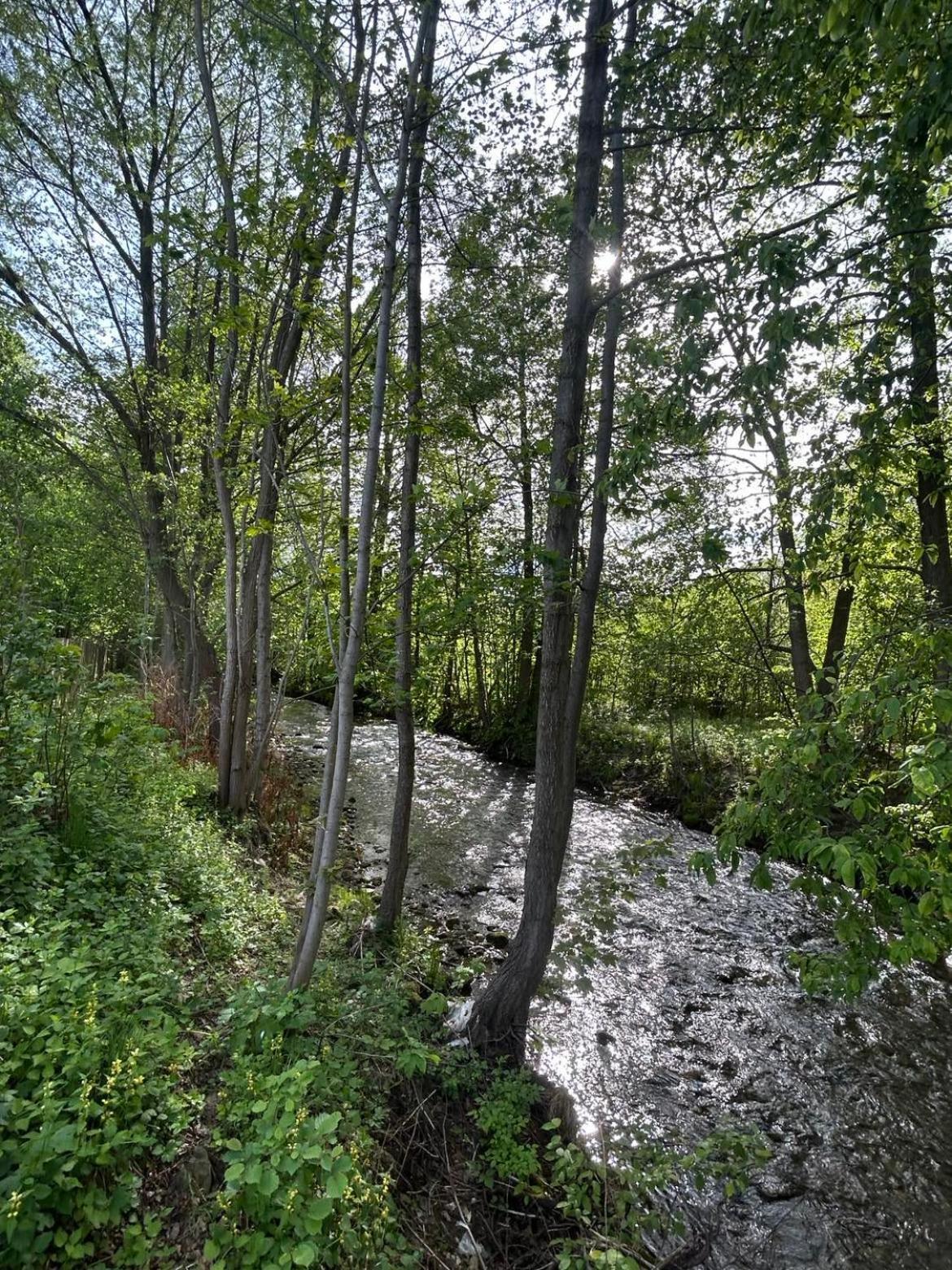Apartmán Lesny Park Polanica Szczytna Exteriér fotografie